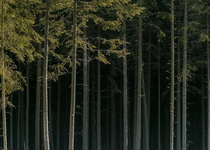 Komfortowe Hidden Hill Z Widokiem By Renters Vakantiehuis *